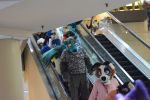 DSC_0848.JPG